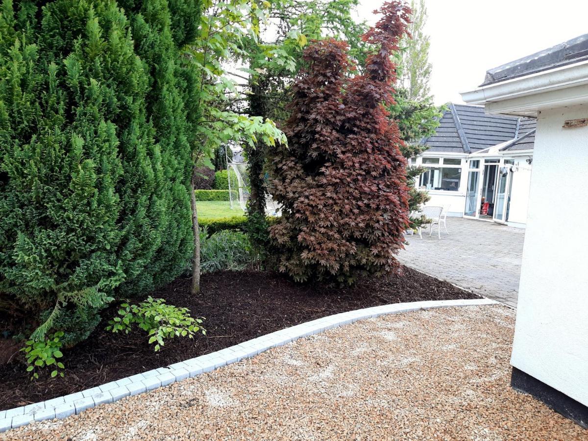 Killenard Self Catering Accommodation Bagian luar foto