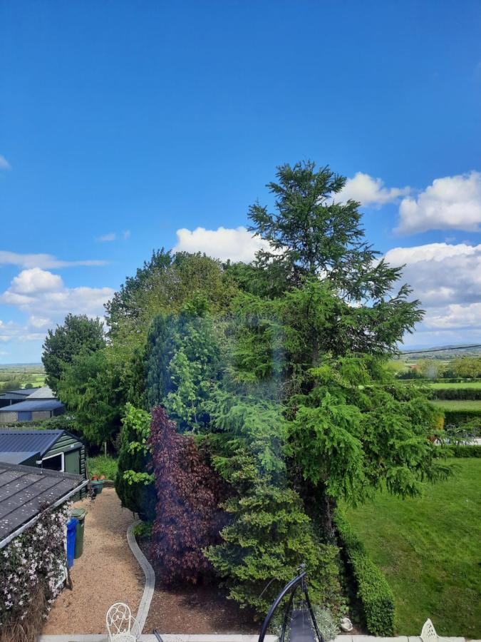 Killenard Self Catering Accommodation Bagian luar foto